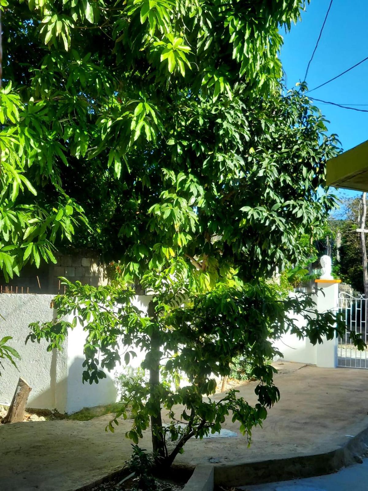 Cas Bed And Breakfast Corral Spring Экстерьер фото