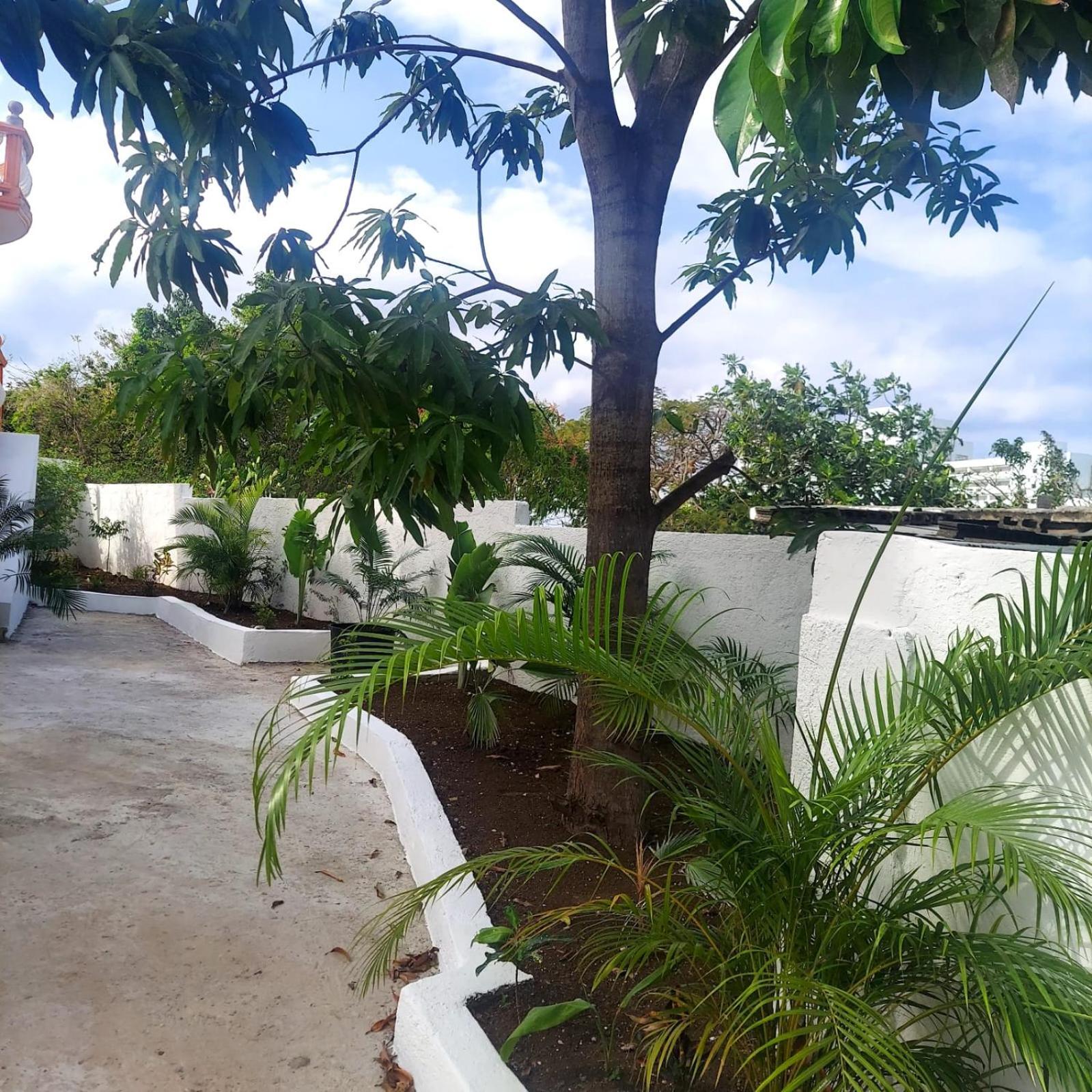 Cas Bed And Breakfast Corral Spring Экстерьер фото